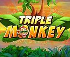 Triple Monkey PT